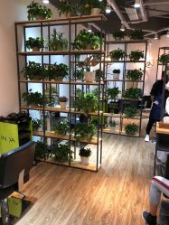 点击看大图 -曼都发型·臻选