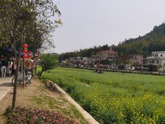 -红山村