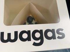 -Wagas沃歌斯(汇智店)