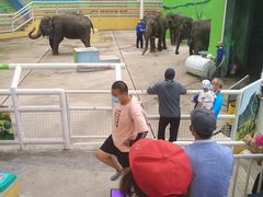 -大连森林动物园