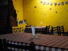 -百好乐宠物友好餐厅(朝外大街店)