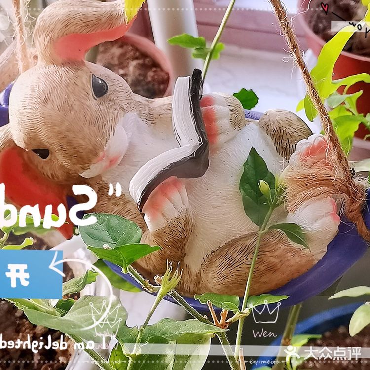 给宅在家里的无聊增添了不少乐趣！