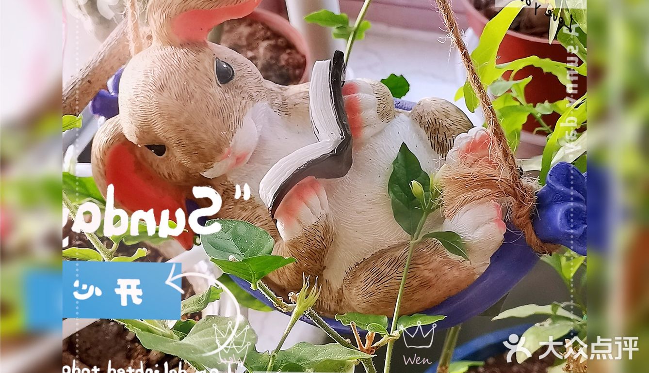 给宅在家里的无聊增添了不少乐趣!