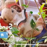 给宅在家里的无聊增添了不少乐趣!