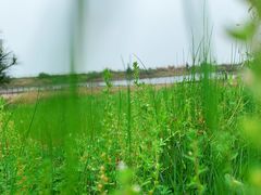 -鄱阳湖国家湿地公园