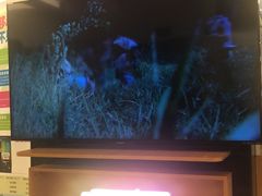 -中国移动通信集团上海有限公司