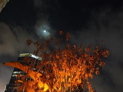 -Terrace 8 八号露台(波特曼丽思卡尔顿店)