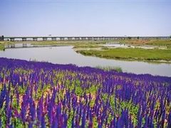 -黄沙古渡原生态旅游区