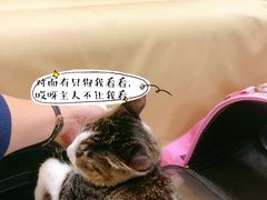 -宠颐生中康贝怡动物医院