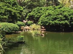 -九龙公园