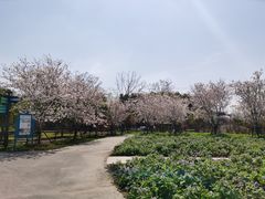 -上海杨姆庄园
