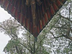 -窦大夫祠