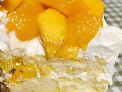 -维尔纳斯·生日蛋糕·动物奶油冰淇淋蛋糕(六里桥店)