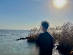 -合肥滨湖国家森林公园