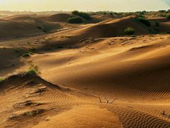 -银肯塔拉沙漠生态旅游景区
