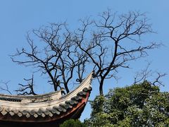 -龙华寺