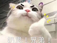 -红菇坊鲜汤火锅(北站店)