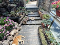 -炊烟餐厅