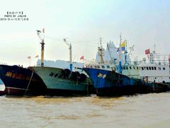 -沈家门渔港