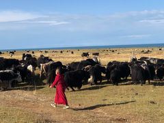 -青海湖国家重点风景名胜区
