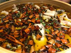 -東舍食唐精品陕菜馆