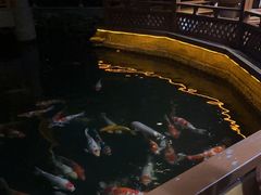 -香麒园·过桥米线·南湖雅宴