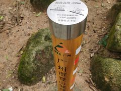 -火炉山森林公园