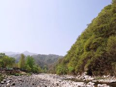 -沣峪口