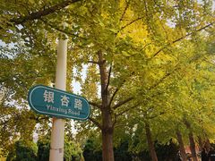 -辽宁大学(崇山校区)