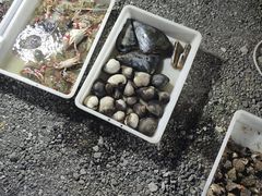 -登州市场(登州路店)