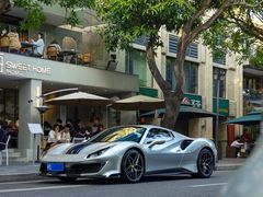 -溪岸路花鸟市场