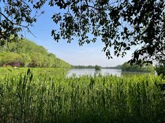 -溱湖国家湿地公园