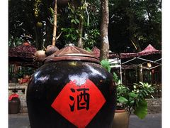 -农厨好味·温泉鹅·农家菜