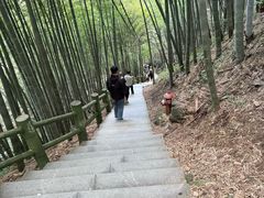 -藏龙百瀑风景区