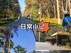 -黑龙江省森林植物园