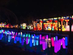 -欢乐海岸椰林沙滩-2025湾区超级灯会