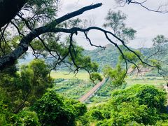 -青芝山风景名胜区