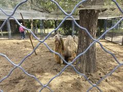 -长白岛森林公园