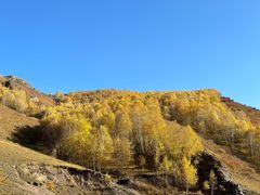 -塞罕坝国家级自然保护区