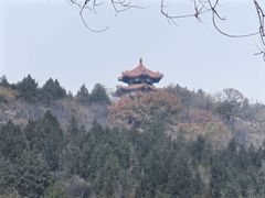 -白水寺森林公园