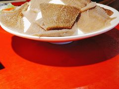 -二荆条·蜀鲜汇城市森林火锅