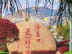 -单家老院·院子里的青岛菜(沙子口店)