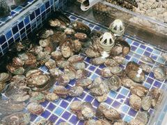 -天盛海鲜烧烤大排档·本地小海鲜·牟平腿穗子(幸福店)