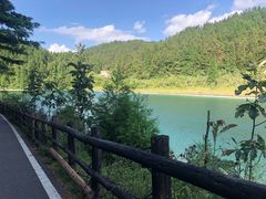 -武陵山森林公园