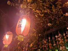 大堂-慢丽江·云南野生菌土鸡锅(付家庄店)