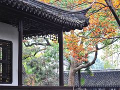 -上海醉白池公园