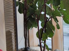-良木缘咖啡西餐(太古里店)