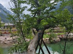 -太行锡崖沟旅游度假区