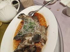 清蒸龙胆鱼-紫阳海鲜楼·传承闽味(长乐路总店)