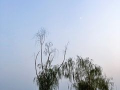 -洪湖生态旅游区